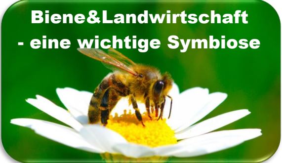 Biene_und_Landwirtschaft.jpg  