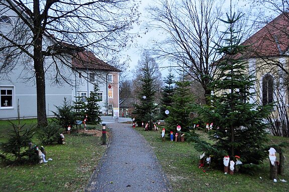Wichtelwald__120_.jpg  